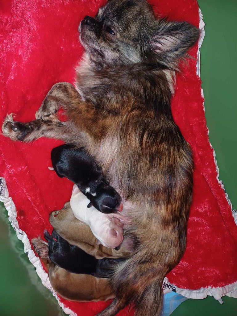 Nouvelle naissance 